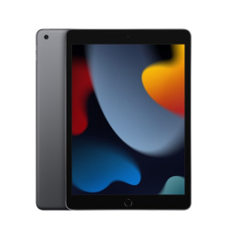 10.2-inch iPad Wi-Fi + Cellular 256GB