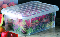 Food Storage Box with Lids 14L
