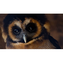 Junior Zoo Keeper for a Day Oxfordshire