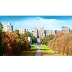Windsor Castle Bike Tour for Two